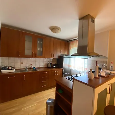 Apartment Tody's Fužine