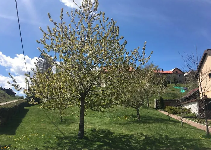 Tody's Apartamento Fužine